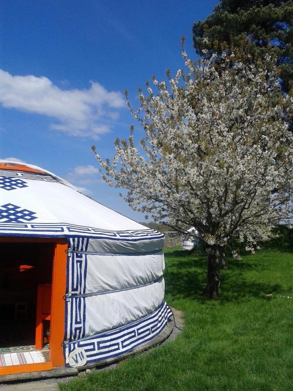 Yourte Nomade-Lodge Les Écrennes Szoba fotó